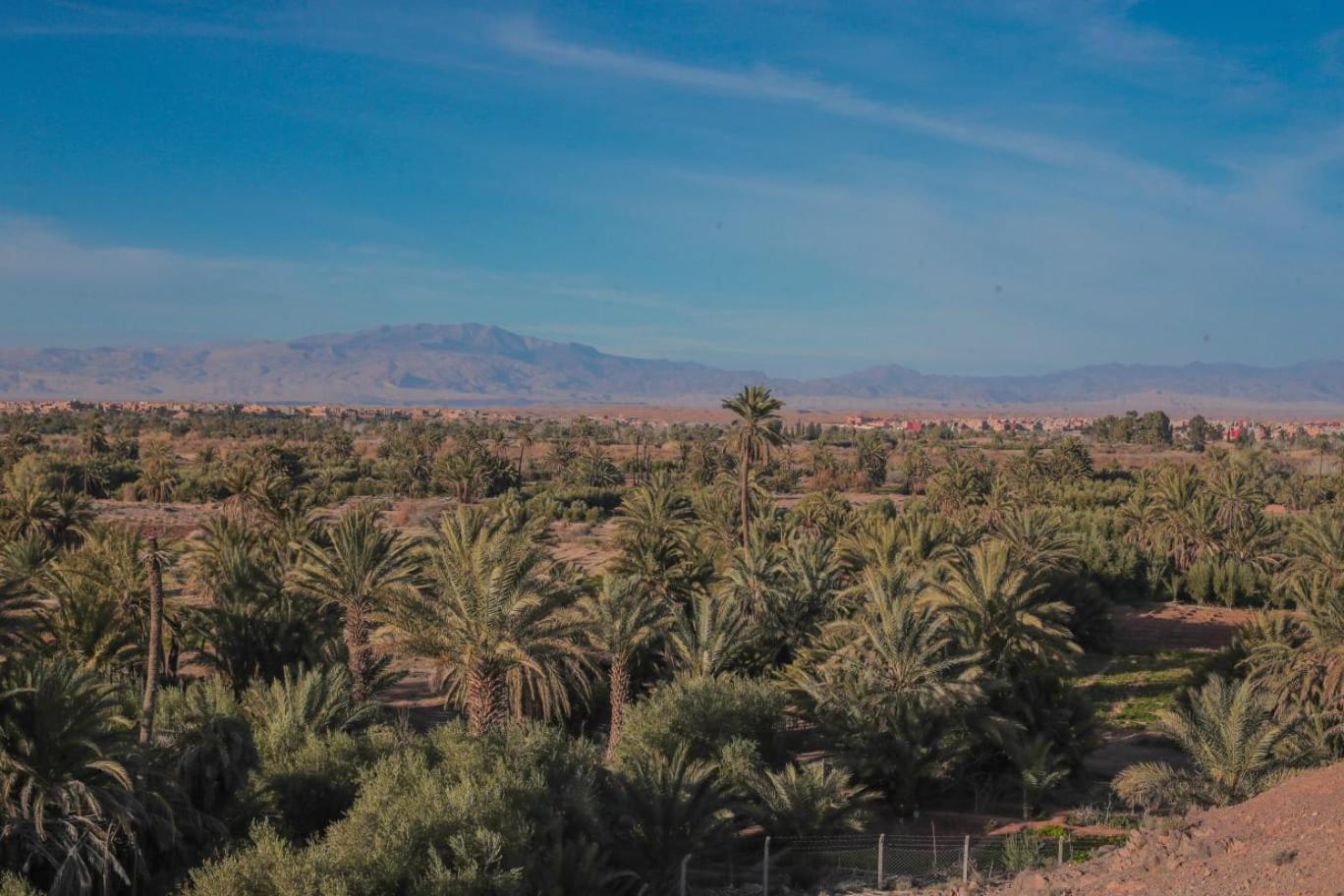 Palm View Palace ورزازات المظهر الخارجي الصورة