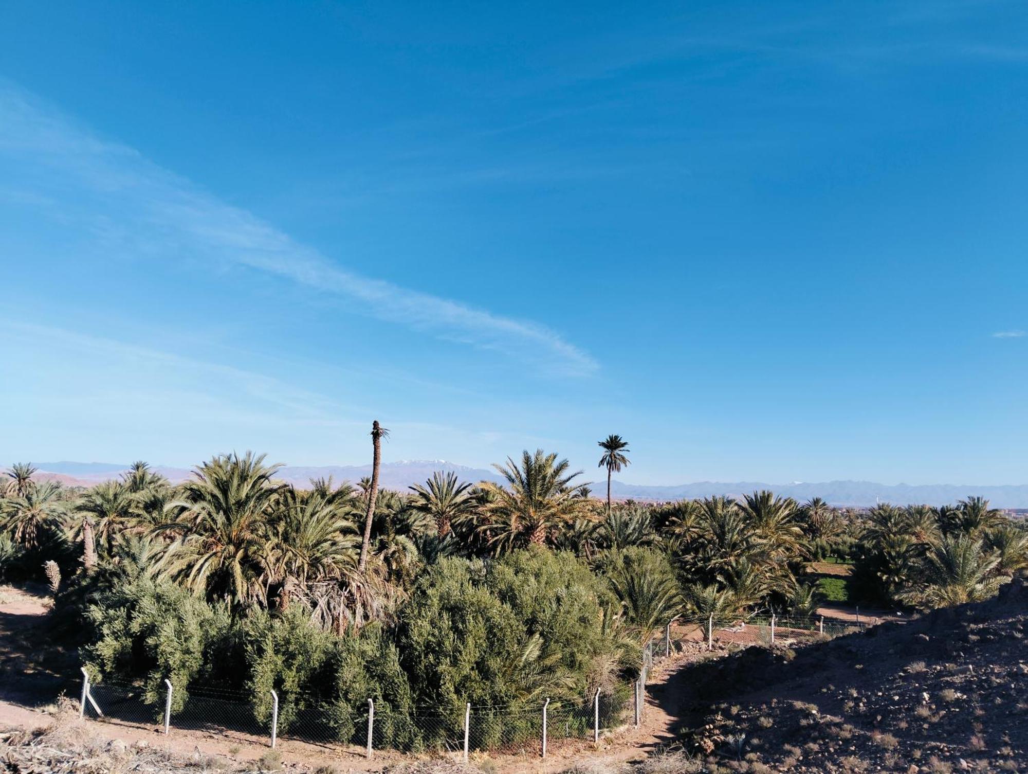 Palm View Palace ورزازات الغرفة الصورة